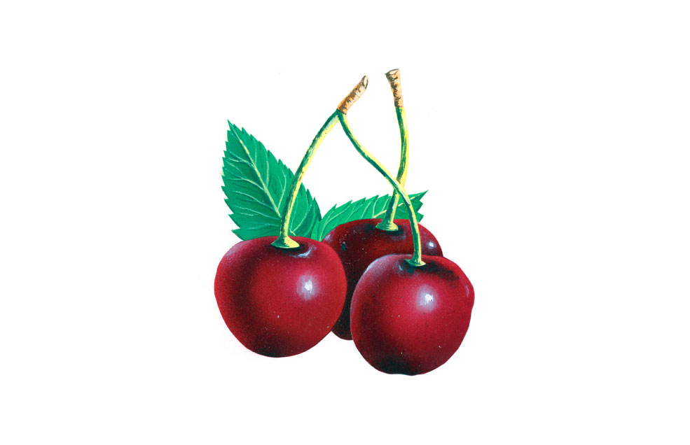 Ilustraciones aerógrafo, acuarela ...