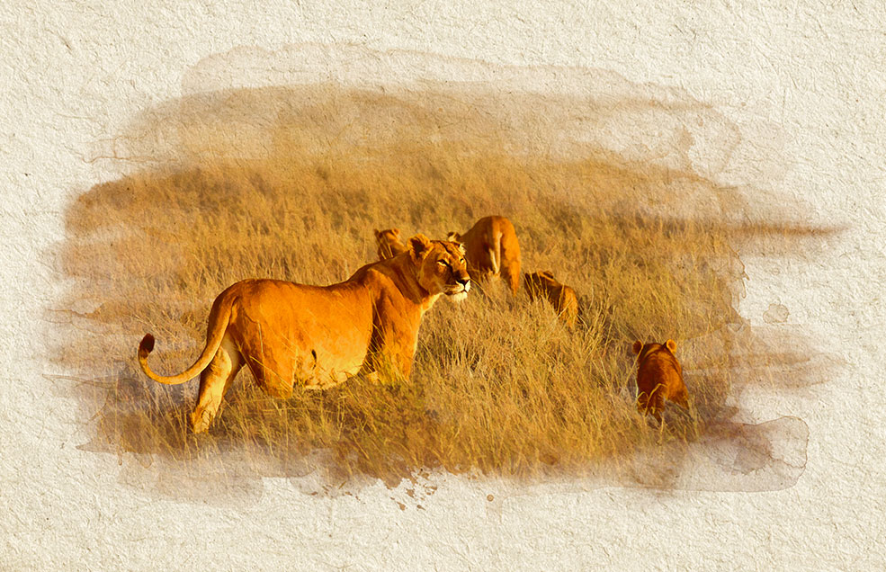 Infografías para catálogo de viajes África - Fulani Travel